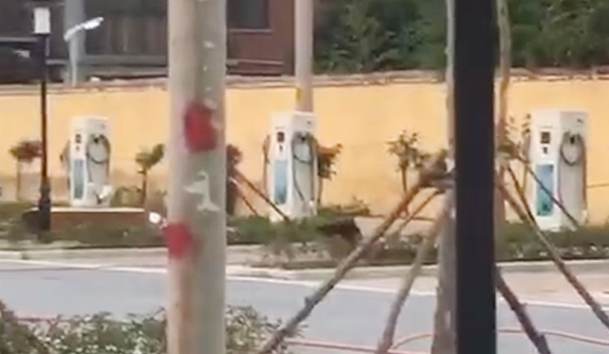 驻马店市公共停车场充电站.jpg