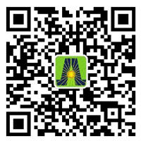 深圳市鸿嘉利新能源有限公司